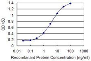 Detection limit for recombinant GST tagged MXI1 is 0. (MXI1 抗体  (AA 1-182))