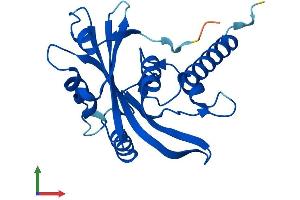 Protein Structure (PS) image for Nudix (Nucleoside Diphosphate Linked Moiety X)-Type Motif 16-Like 1 (NUDT16L1) (AA 1-211) protein (His tag) (ABIN7546010)