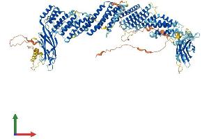 AlphaFold protein structure predicition of Human Recombinant BAIAP3 Protein, UniprotID O94812