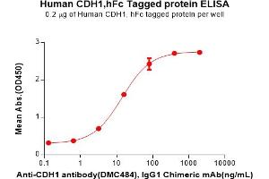 ELISA plate pre-coated by 2 μg/mL (100 μL/well) Human Protein, hFc Tag(ABIN7092826, ABIN7272452 and ABIN7272453) can bind Anti- antibody, IgG1 Chimeric mAb in a linear range of 0.
