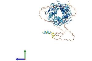 Protein Structure (PS) image for Zinc Finger Protein 23 (ZNF23) (AA 1-643) protein (His tag) (ABIN7545594)