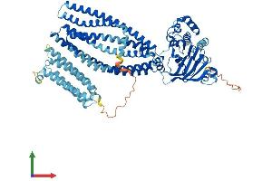 Protein Structure (PS) image for ATP-Binding Cassette, Sub-Family B (MDR/TAP), Member 9 (ABCB9) (AA 1-766) protein (His tag) (ABIN7551793)