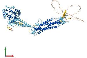 Protein Structure (PS) image for Dynamin 1-Like (DNM1L) (AA 1-736) protein (His tag) (ABIN7553687)