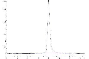 Size-exclusion chromatography-High Pressure Liquid Chromatography (SEC-HPLC) image for Macrophage Receptor with Collagenous Structure (MARCO) (AA 70-518) protein (His tag) (ABIN7275279)