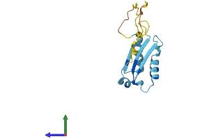 Protein Structure (PS) image for BolA-like Protein 1 (BOLA1) (AA 1-137) protein (His tag) (ABIN7561133)
