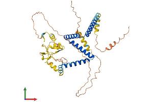 Protein Structure (PS) image for Zinc Finger Protein 821 (ZNF821) (AA 1-412) protein (His tag) (ABIN7545501)