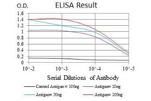 Black line: Control Antigen (100 ng), Purple line: Antigen(10 ng), Blue line: Antigen (50 ng), Red line: Antigen (100 ng), (NPC1 抗体  (AA 34-174))
