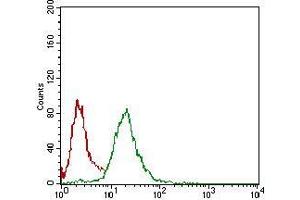 Flow cytometric analysis of Hela cells using NBN mouse mAb (green) and negative control (red). (Nibrin 抗体  (AA 467-615))