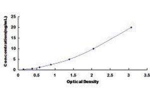 Eukaryotic Translation Initiation Factor 2-alpha Kinase 3 (EIF2AK3) ELISA Kit