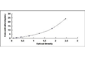 Typical standard curve (HLAG ELISA 试剂盒)