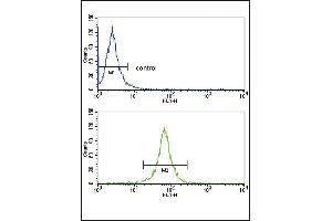 Flow Cytometry (FACS) image for anti-Decorin (DCN) (AA 122-150) antibody (ABIN390518)