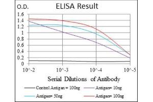 ELISA image for anti-Ring Finger Protein 1 (RING1) (AA 79-263) antibody (ABIN1845880) (RING1 抗体  (AA 79-263))