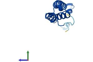 Protein Structure (PS) image for Presenilin Enhancer 2 Homolog (PSENEN) (AA 1-101) protein (His tag) (ABIN7550628)