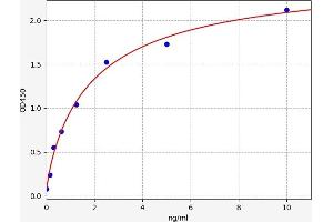 Typical standard curve (TNFRSF12A ELISA 试剂盒)