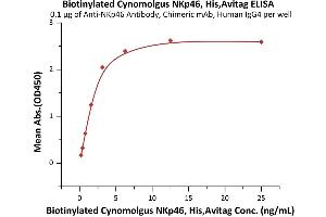 Immobilized A Antibody, Chimeric mAb, Human IgG4 at 1 μg/mL (100 μL/well) can bind Biotinylated Cynomolgus NKp46, His,Avitag (ABIN6973180) with a linear range of 0. (NCR1 Protein (AA 22-257) (His tag,AVI tag,Biotin))