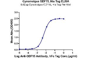 ELISA image for Growth Differentiation Factor 15 (GDF15) (AA 193-308) protein (His tag) (ABIN7274718)