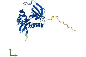 Protein Structure (PS) image for N(alpha)-Acetyltransferase 50, NatE Catalytic Subunit (NAA50) (AA 1-169) protein (His tag) (ABIN7549668)