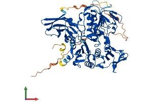 Protein Structure (PS) image for Apoptosis-Inducing Factor, Mitochondrion-Associated, 3 (AIFM3) (AA 1-605) protein (His tag) (ABIN7557103)