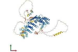 Protein Structure (PS) image for Nucleolar Complex Associated 2 Homolog (NOC2L) (AA 1-747) protein (His tag) (ABIN7565231)