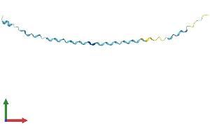 Protein Structure (PS) image for Small Proline-Rich Protein 2D (SPRR2D) (AA 1-85) protein (Fc Tag) (ABIN7562565)