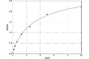 Lectin, Mannose-Binding 2 (LMAN2) ELISA Kit
