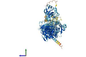 Protein Structure (PS) image for ATPase, Ca++ Transporting, Type 2C, Member 1 (ATP2C1) (AA 1-918) protein (His tag) (ABIN7564290)