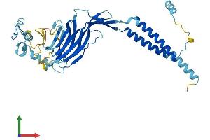 Protein Structure (PS) image for ERGIC and Golgi 3 (ERGIC3) (AA 1-383) protein (His tag) (ABIN7560537)