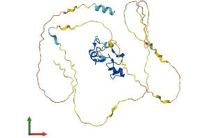 Protein Structure (PS) image for Zinc Finger Protein 36, C3H Type, Homolog (Mouse) (ZFP36) (AA 1-326) protein (His tag) (ABIN7544764)