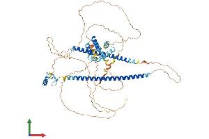 Protein Structure (PS) image for Core-binding Factor, Runt Domain, alpha Subunit 2, Translocated To, 3 (CBFA2T3) (AA 1-653) protein (His tag) (ABIN7554621)