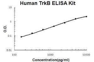 Human TrkB PicoKine ELISA Kit standard curve (TRKB ELISA 试剂盒)