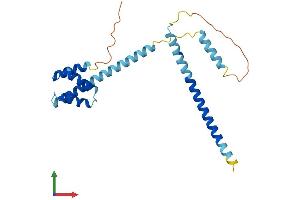 AlphaFold protein structure predicition of Mouse Recombinant Ccdc43 Protein, UniprotID Q9CR29