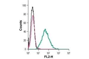 Flow Cytometry (FACS) image for anti-Purinergic Receptor P2X, Ligand-Gated Ion Channel, 7 (P2RX7) (AA 136-152), (Extracellular) antibody (PE) (ABIN7043582)