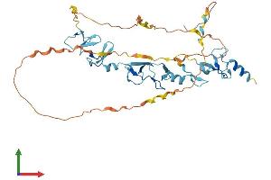 Protein Structure (PS) image for Filamin Binding LIM Protein 1 (FBLIM1) (AA 1-373) protein (His tag) (ABIN7547559)