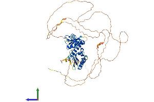 Protein Structure (PS) image for Mex-3 Homolog B (MEX3B) (AA 1-569) protein (His tag) (ABIN7549429)