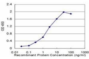 Detection limit for recombinant GST tagged RAB27A is approximately 0. (RAB27A 抗体  (AA 122-221))