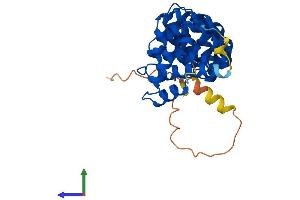 Protein Structure (PS) image for Armadillo Repeat Containing 10 (ARMC10) (AA 1-306) protein (His tag) (ABIN7560839)