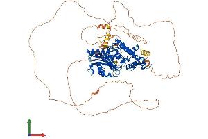AlphaFold protein structure predicition of Human Recombinant DENND1C Protein, UniprotID Q8IV53