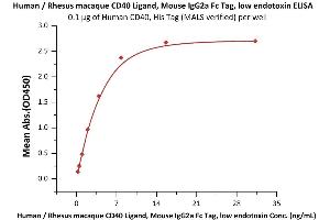 ELISA image for CD40 Ligand (CD40LG) (AA 113-261) (Active) protein (Fc Tag) (ABIN6253627)