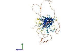 Protein Structure (PS) image for Hypoxia Inducible Factor 3, alpha Subunit (HIF3A) (AA 1-669) protein (His tag) (ABIN7554097)