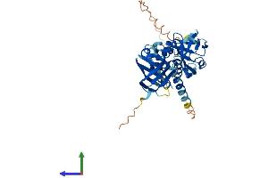 AlphaFold protein structure predicition of Mouse Recombinant Aim2 Protein, UniprotID Q91VJ1 (AIM2 Protein (AA 1-354) (His tag))