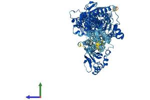 Protein Structure (PS) image for ATPase, Ca++ Transporting, Cardiac Muscle, Fast Twitch 1 (ATP2A1) (AA 1-1001) protein (His tag) (ABIN7552397)