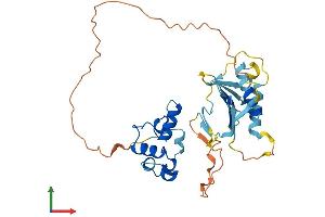 Protein Structure (PS) image for Polo-Like Kinase 5 (PLK5) (AA 1-336) protein (His tag) (ABIN7550854)