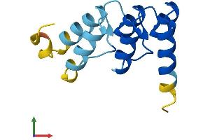 Protein Structure (PS) image for NOTCH-Regulated Ankyrin Repeat Protein (NRARP) (AA 1-114) protein (His tag) (ABIN7549937)