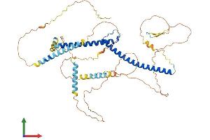Protein Structure (PS) image for Microphthalmia-Associated Transcription Factor (MITF) (AA 1-526) protein (His tag) (ABIN7563614)