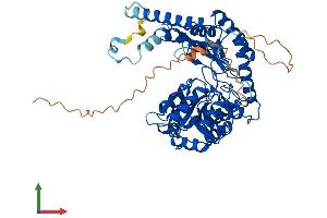 Protein Structure (PS) image for serine Palmitoyltransferase, Long Chain Base Subunit 2 (SPTLC2) (AA 1-562) protein (His tag) (ABIN7555635)
