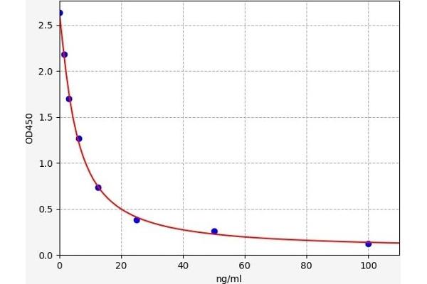 HLA-DRB5 ELISA 试剂盒