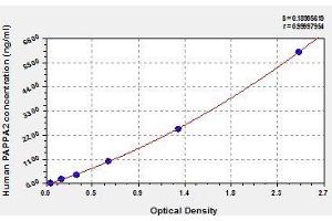 Typical standard curve (PAPPA2 ELISA 试剂盒)