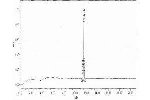 Procollagen III N-Terminal Propeptide (PIIINP) (N-Term) peptide (His tag)