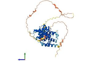 AlphaFold protein structure predicition of Mouse Recombinant Ccni Protein, UniprotID Q9Z2V9