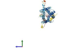 Protein Structure (PS) image for Arginine Vasopressin Receptor 2 (AVPR2) (AA 1-371) protein (His tag) (ABIN7545055)